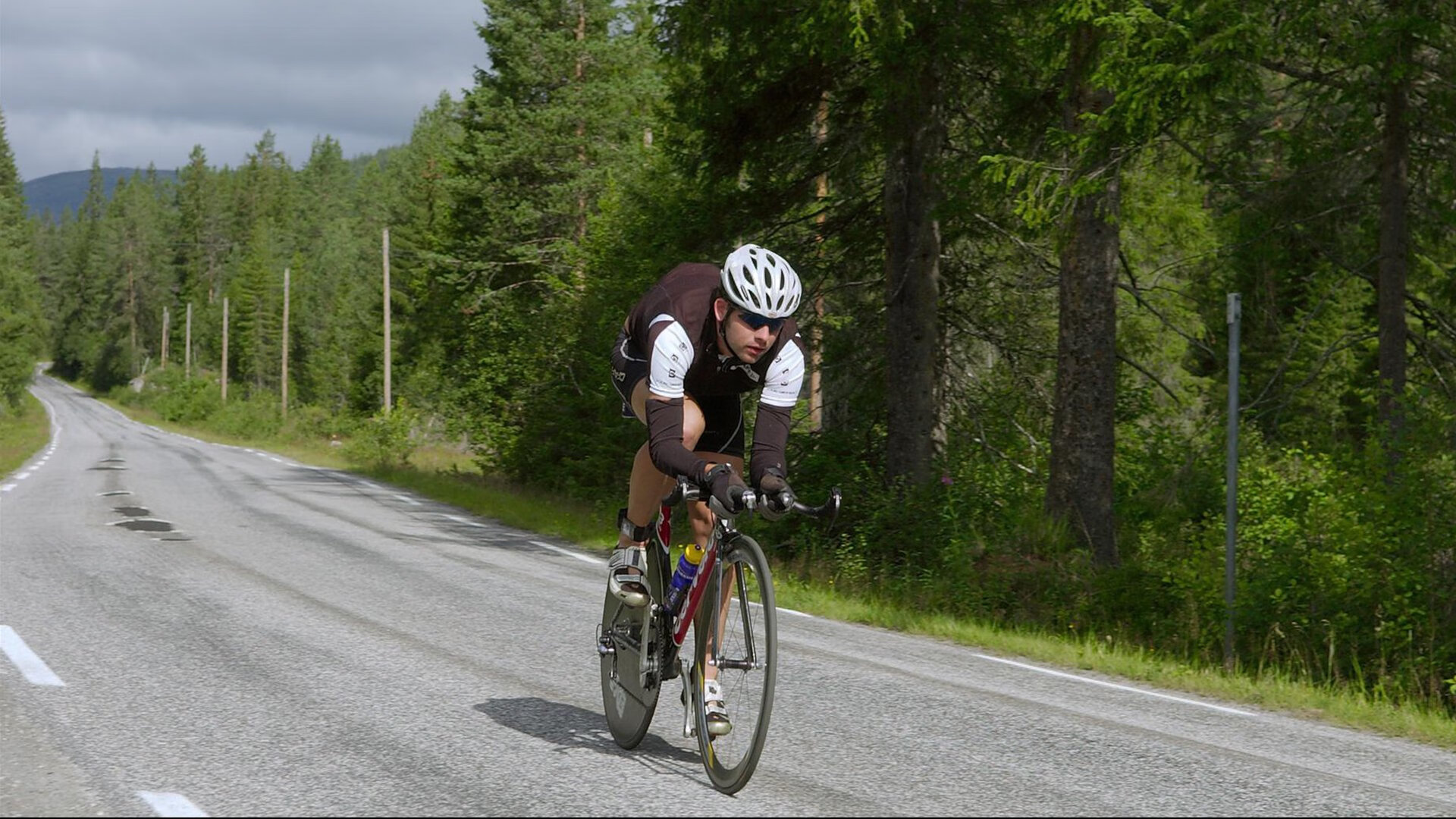 舞龙舞狮大赛：传统文化的活力呈现